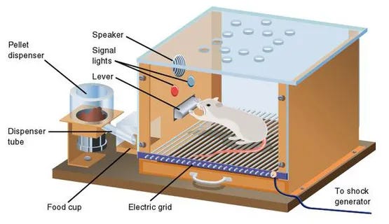 Skinner Box Illustrating Reinforcement by Operant Conditioning