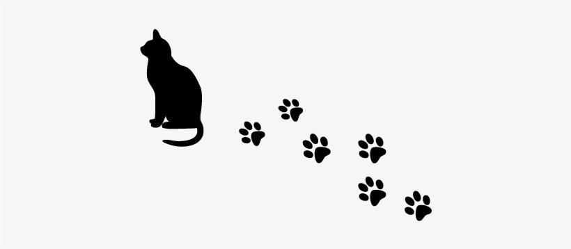 Cat International Travels - Cat Paw Prints PNG Image | Transparent PNG Free  Download on SeekPNG