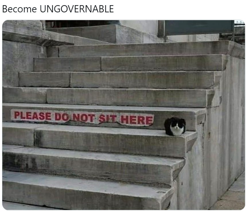 Become Ungovernable Cat | Become Ungovernable | Know Your Meme
