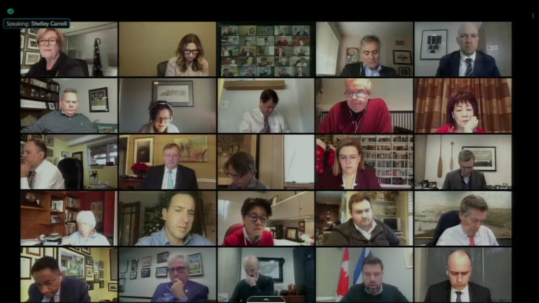 A screenshot of the Council meeting