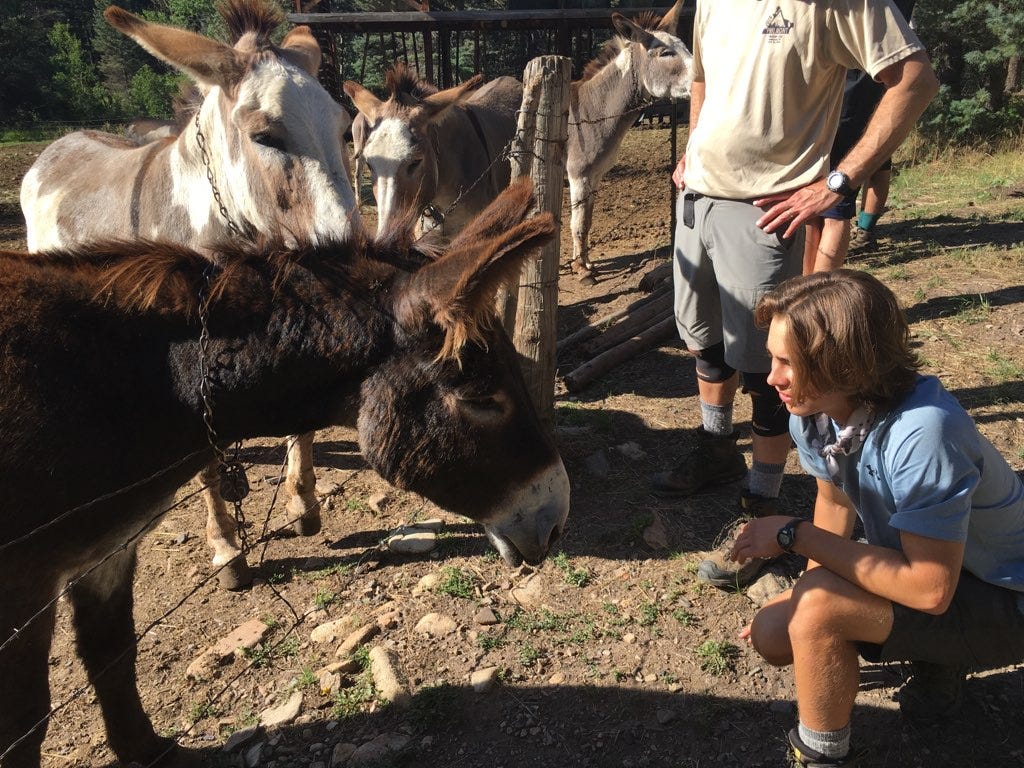 Ty has a stare-down with the group's burro - an animal which helps carry the equipment