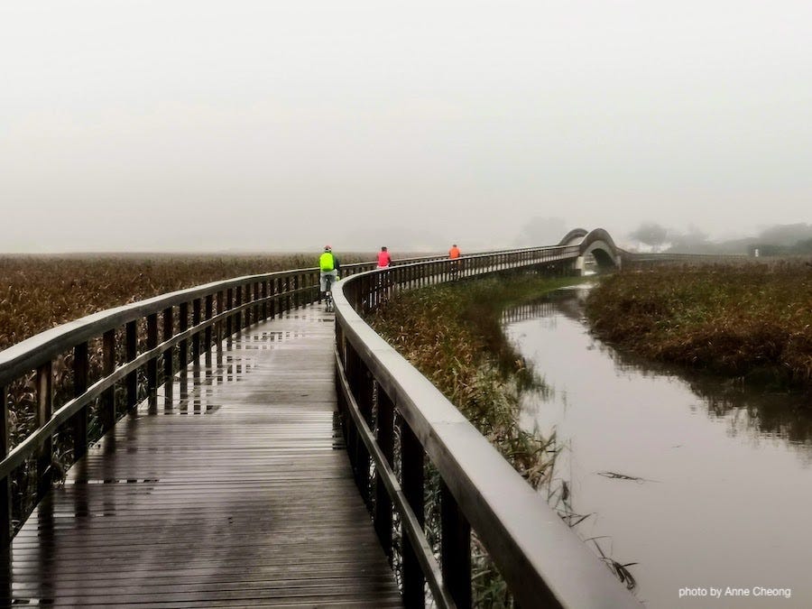 Photo of a curving boardwalk, surrounded by autumn grass, the atmosphere is misty and dreamy. Three cyclists are far away in the background, visible only by their brightly coloured rain jacket: red, orange, blue. 