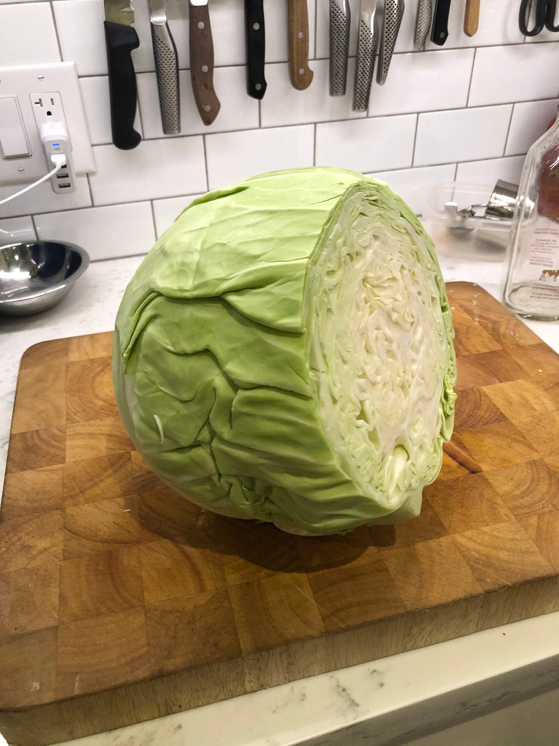 Massive cabbage with a small bit missing