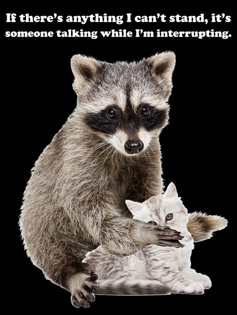 Ministry of Truth's Campaign on Misinformation (Raccoon Kitten Poster Someone's Information Contradicting My Disinformation)