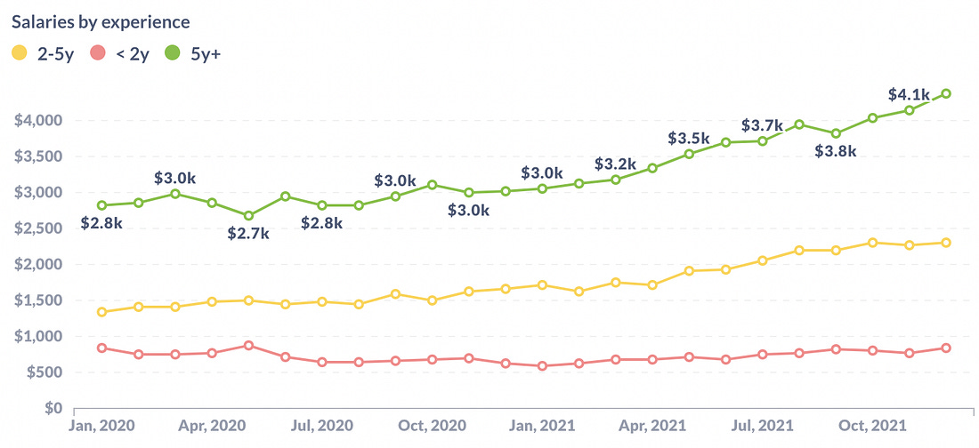 Junior software developer hires in numbers