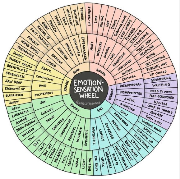 Image of the emotion-sensation wheel by Lindsay Braman. The wheel has 4 concentric circles. The center has the title of the wheel. The next inner circle has emotions like fear, anger, and surprise. The next inner circle has further descriptors, like insecure, irritated, and confusion. The outer circle has sensations that may correlate with these feelings like tense or breathless.