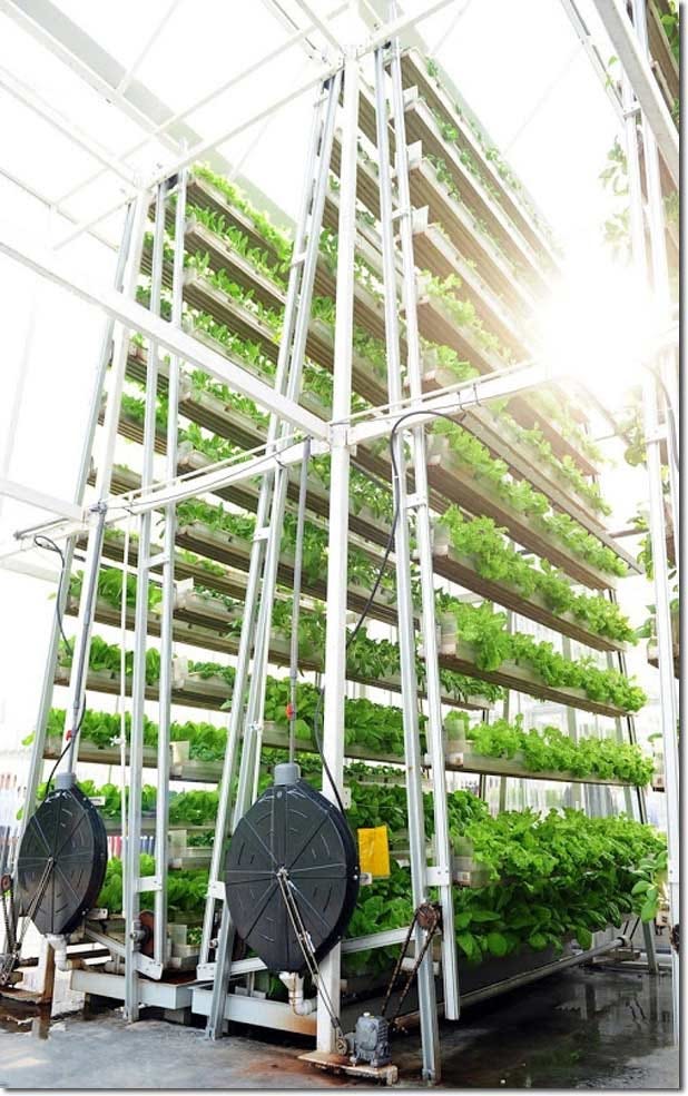 A-Go-Gro technology vertical hydroponics farm