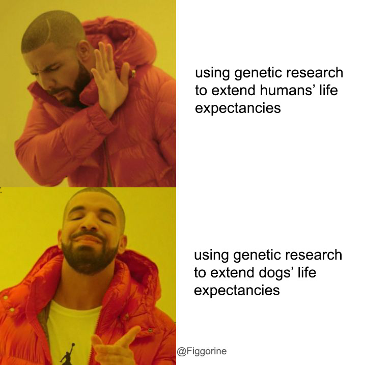 Genetic science: memes