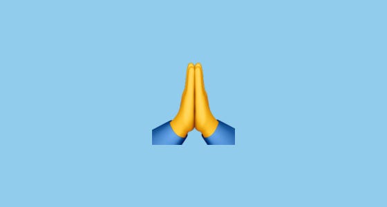 🙏 Person with Folded Hands Emoji