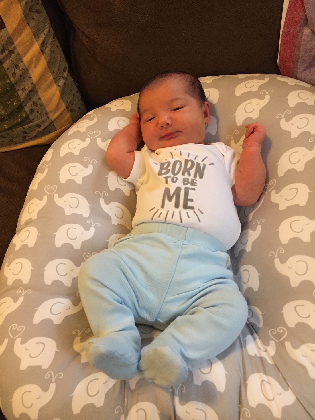 Photo of Lila on a pillow wearing a shirt that says "born to be me".