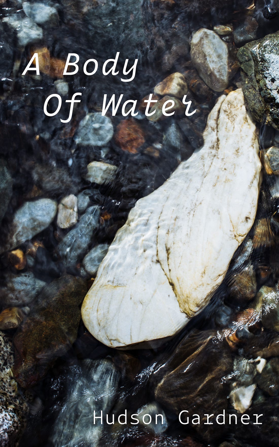 a body of water poetry book