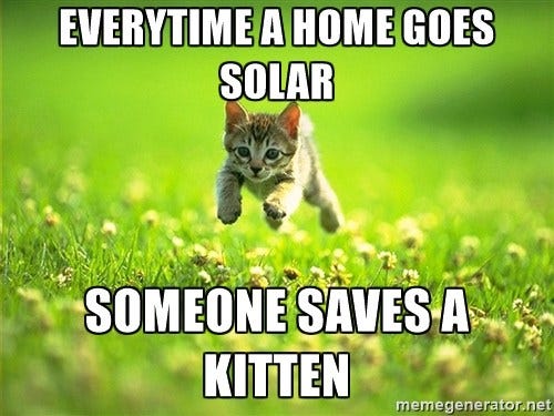 5 Fun Facts about Cats & Solar Power (with Kitten GIFs) - Main Street Solar