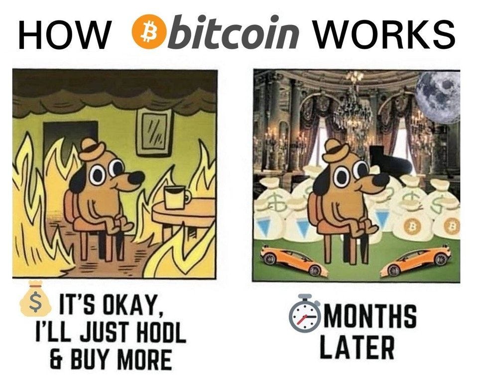 How Bitcoin Works - &quot;This is fine&quot; meme, Bitcoin Edition : Bitcoin |  Bitcoin, Memes, Crypto currencies