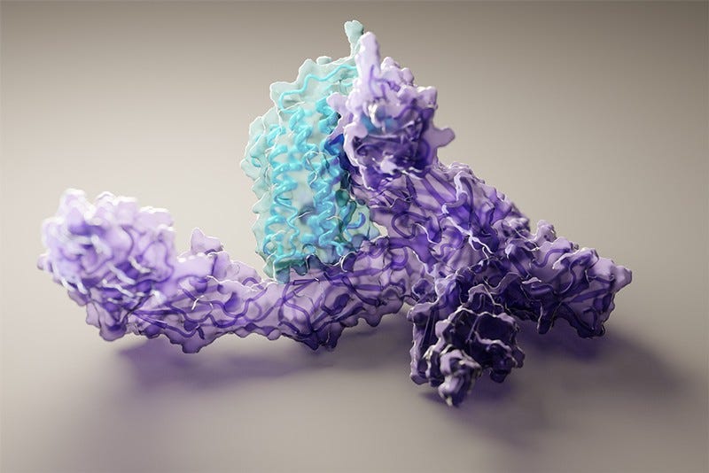 3D view of human interleukin-12 bound to its receptor