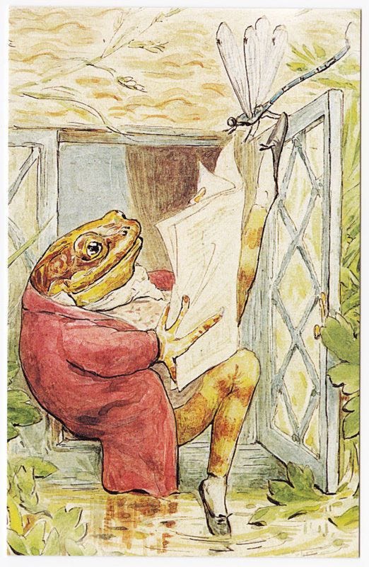 Postcard - Beatrix Potter - The Tale of Mr. Jeremy Fisher - Frog Reading  Home | Beatrix potter illustrations, Beatrix potter, Art