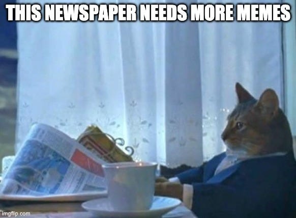 Cat newspaper |  THIS NEWSPAPER NEEDS MORE MEMES | image tagged in cat newspaper | made w/ Imgflip meme maker
