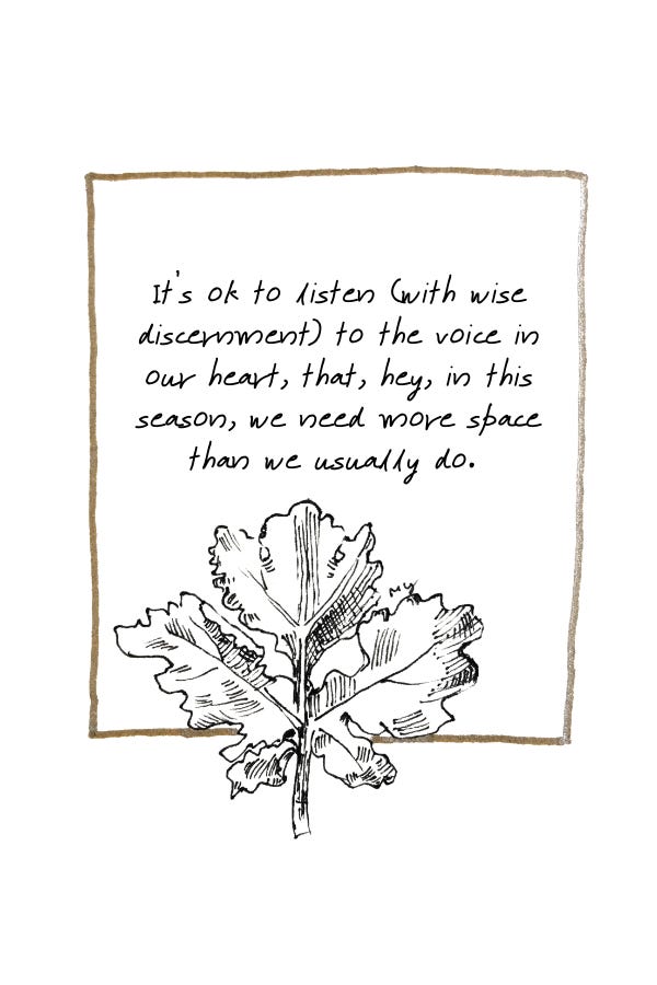 hand-drawn line illustration of a leaf with a quote "It’s ok to listen (with wise discernment) to the voice in our heart, that, hey, in this season, we need more space than we usually do. "  There's a gold coloured border around the quote and leaf