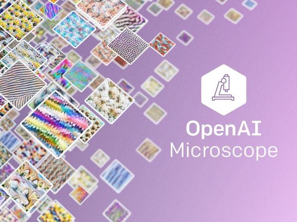 OpenAI Microscope