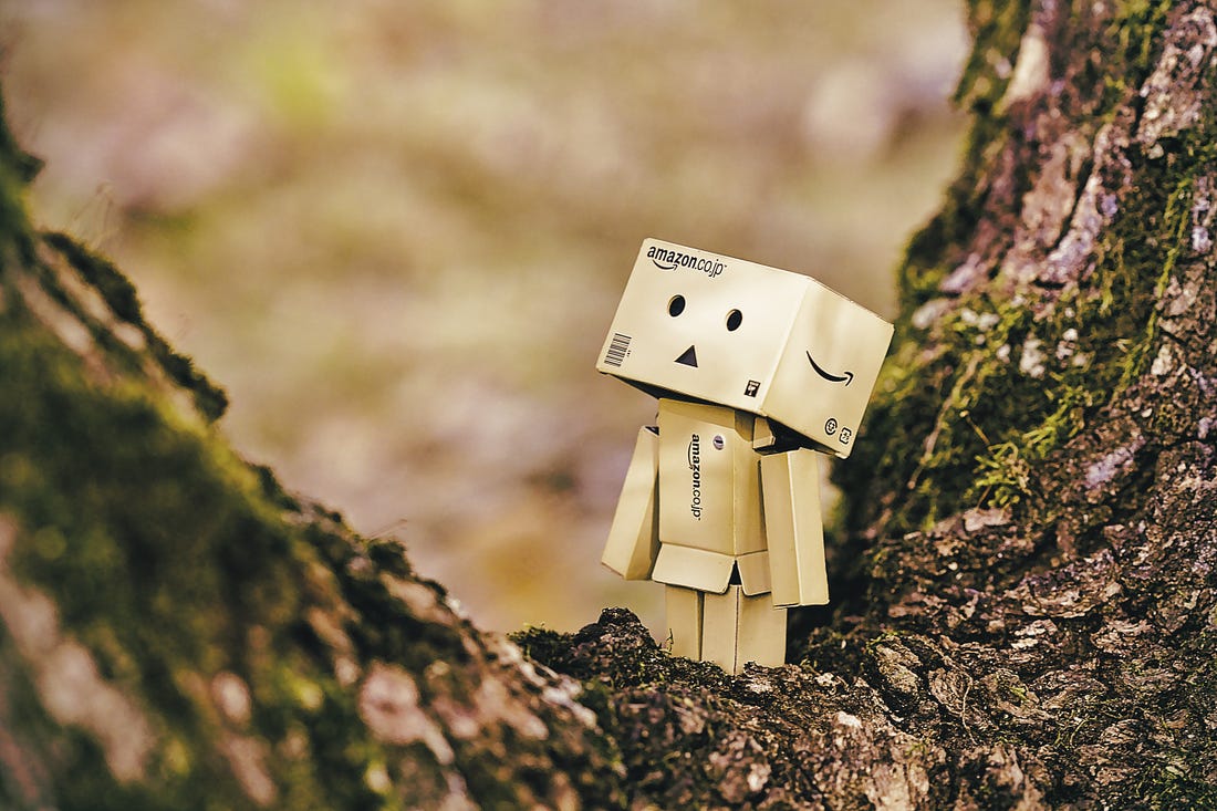 Picture of a figure made out of Amazon boxes, standing in the nook of a tree. Daniel Eledut / Unsplash
