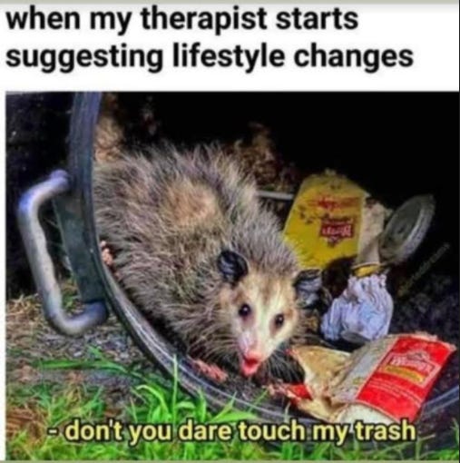 Photo of a possum in a trash can surrounded by garbage. Above the photo is the text, "When my therapist stars suggesting lifestyle changes" and then below the possum is the text, "Don't you dare touch my trash." The possum looks angry and defensive.