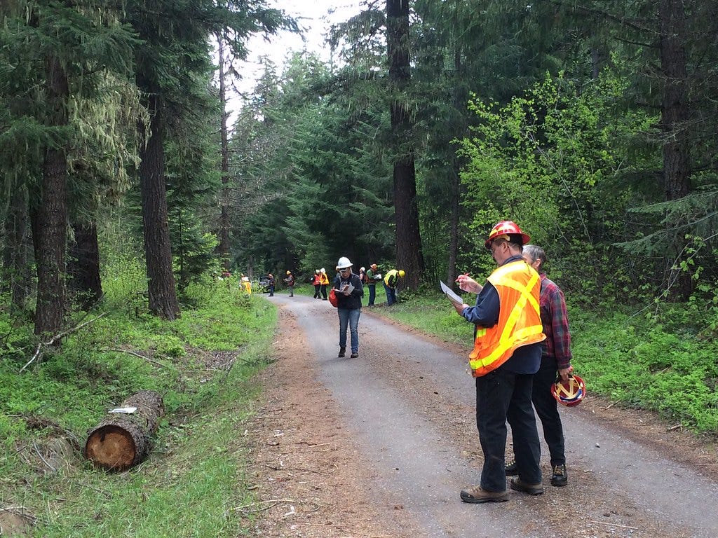 2016. Instructor Ellen Goheen (plaid shirt, right). Roadside hazard tree training. Southwest Oregon Forest Insect and Disease Service Center.