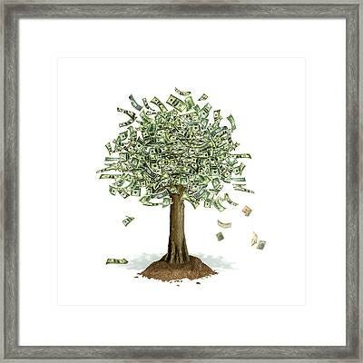 Bilderesultat for money tree