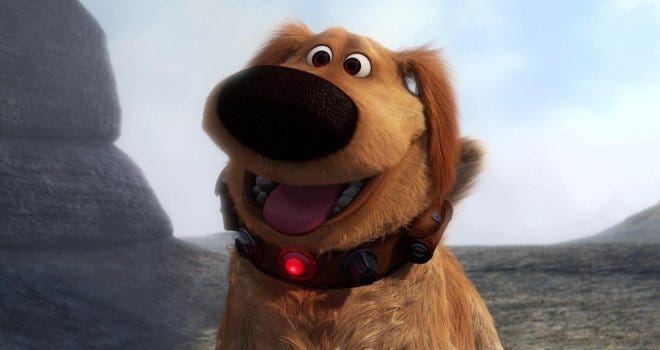 Image result for Up dog