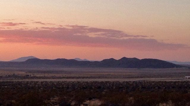 Joshua Tree sunset