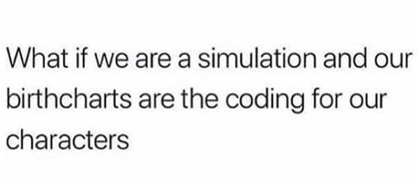 "What if we are a simulation and our birthcharts are the coding for our characters"