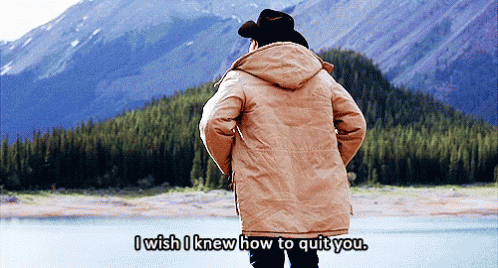 "I wish I knew how to quit you" from Brokeback Mountain [gif]