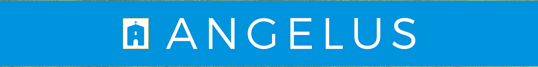 Image result for angelus news