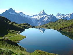 Bilderesultat for nature