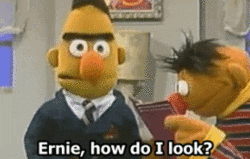 Bert is wearing a suit and asking, "Ernie how do I look?"