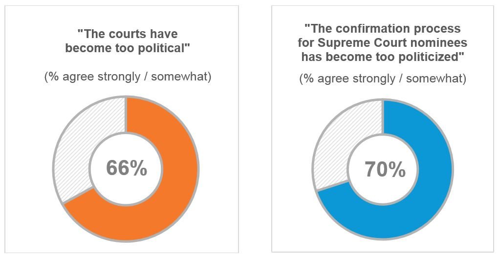 Politics and the courts