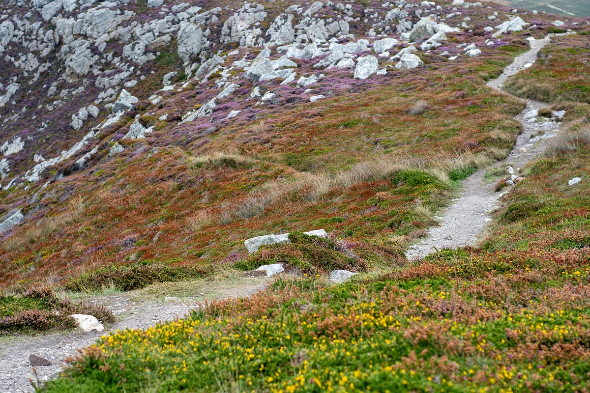 Britain's ancient footpaths could soon be lost forever