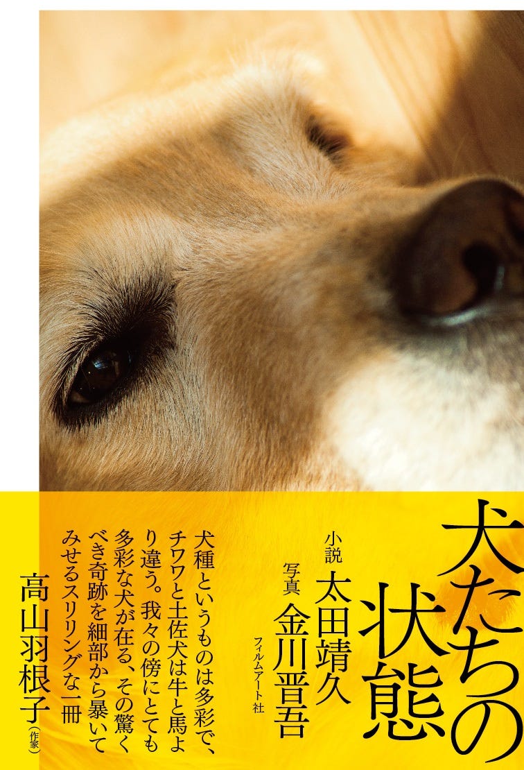 書評 犬たちの状態 小説 太田靖久 写真 金川晋吾 フィルムアート社 By 本屋lighthouse ライトハウス 幕張支店 本屋lighthouse S Newsletter