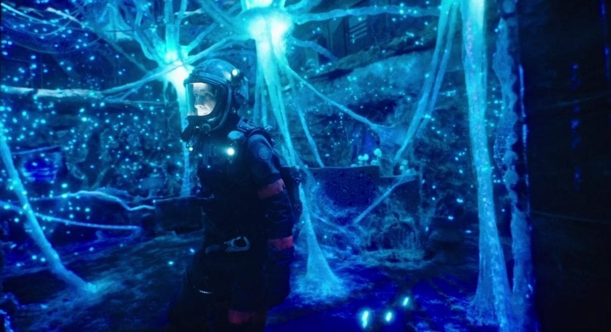 12 Monkeys and the Origins of Omicron