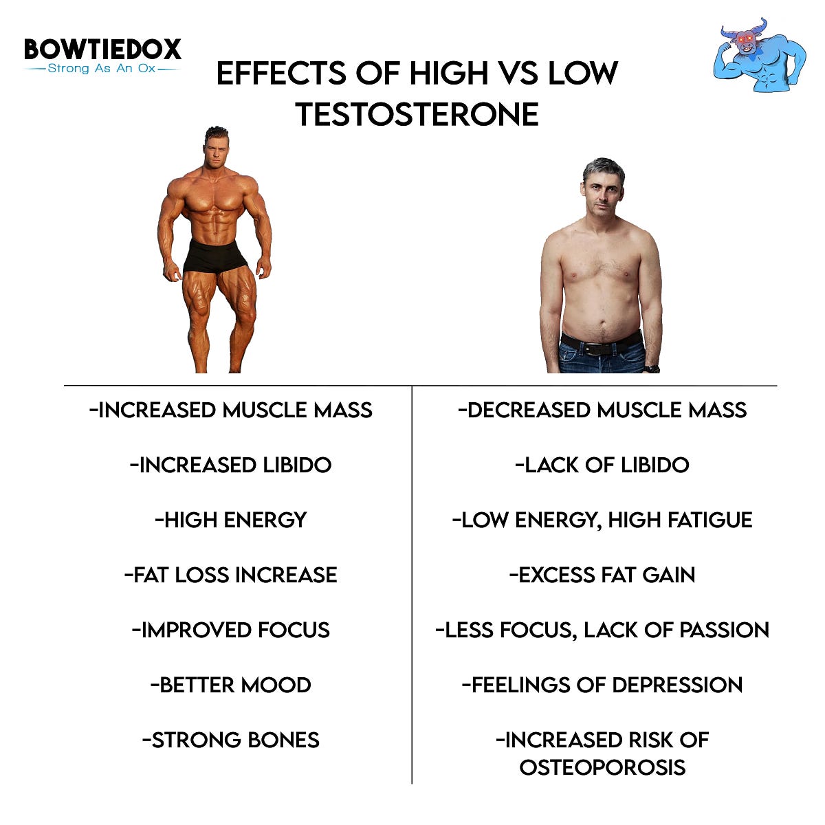 How To Naturally Boost Your Testosterone Levels - by BowTiedOx - Strong ...