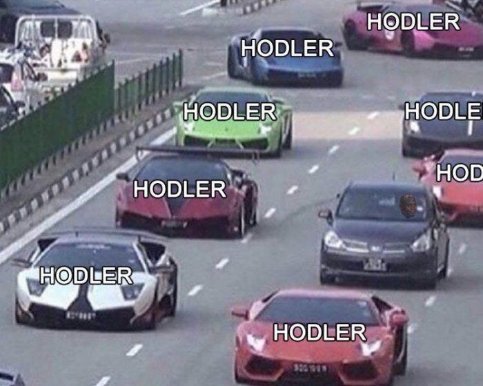 Triumph of the HODLers