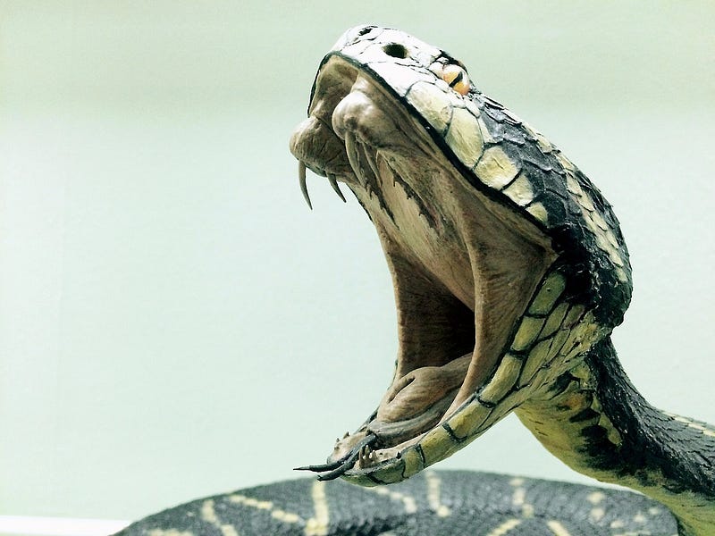 Snakes On a Gain...of Function?