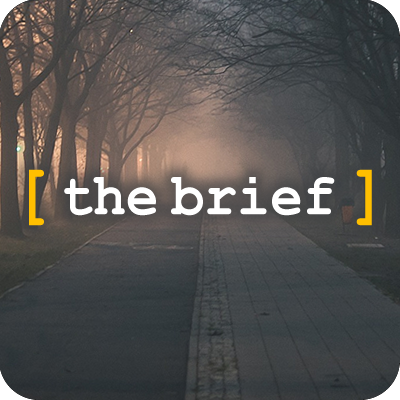 [the brief]