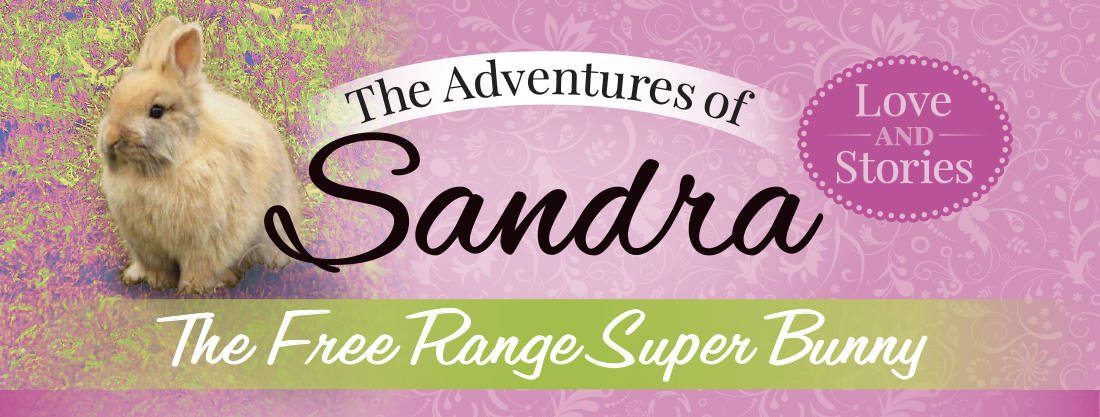 Sandra The Free Range Super Bunny