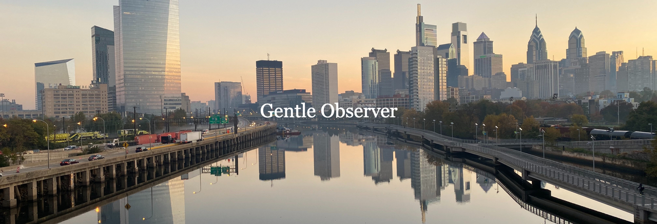 Gentle Observer