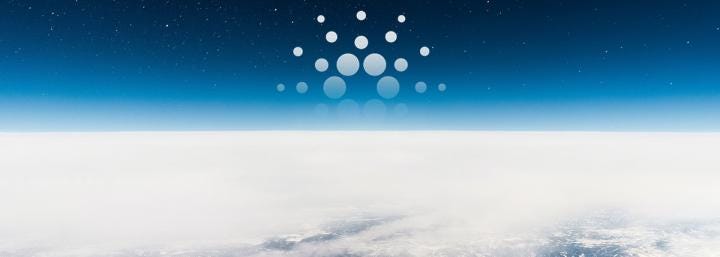 Cardano (ADA) search and social engagement reach yearly highs