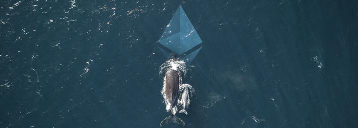 Coinbase’s earliest investor starts accumulating Ethereum “again,” joining whales