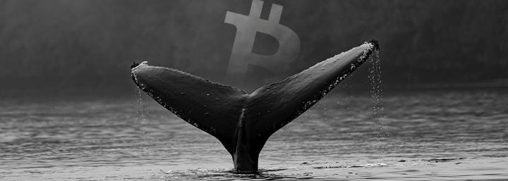 A big Bitfinex Bitcoin whale is anticipating a severe correction, will he be right?