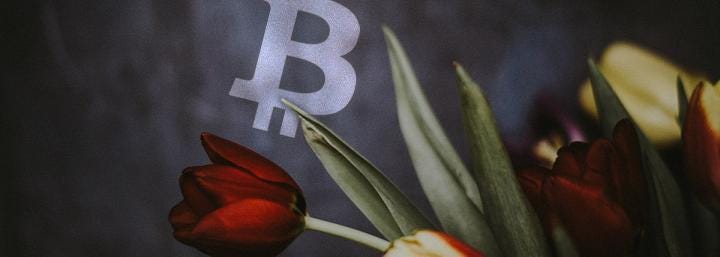 Craig Wright says there is a third Tulip Trust; what does this mean for Bitcoin?