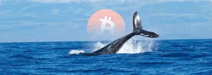 Massive Bitcoin whale moves more than $1.3 billion worth of BTC