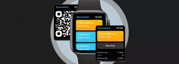 Get Bitcoin on your smartwatch with this Lightning Network app