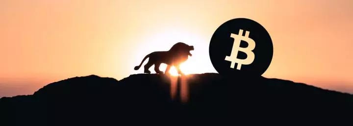 Analyzing Bitcoin's historical dominance over the crypto market, will BTC continue to dominate?